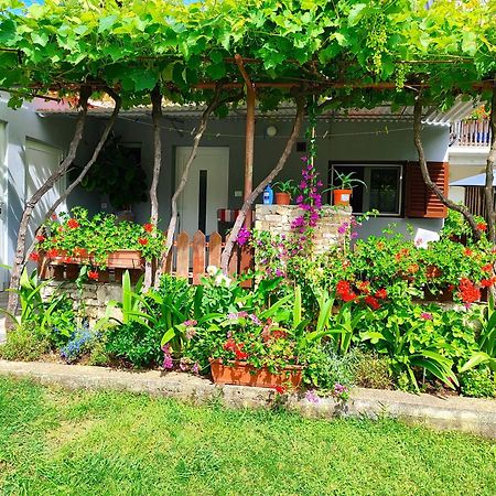 Apartments Pavao 1402 بولا المظهر الخارجي الصورة